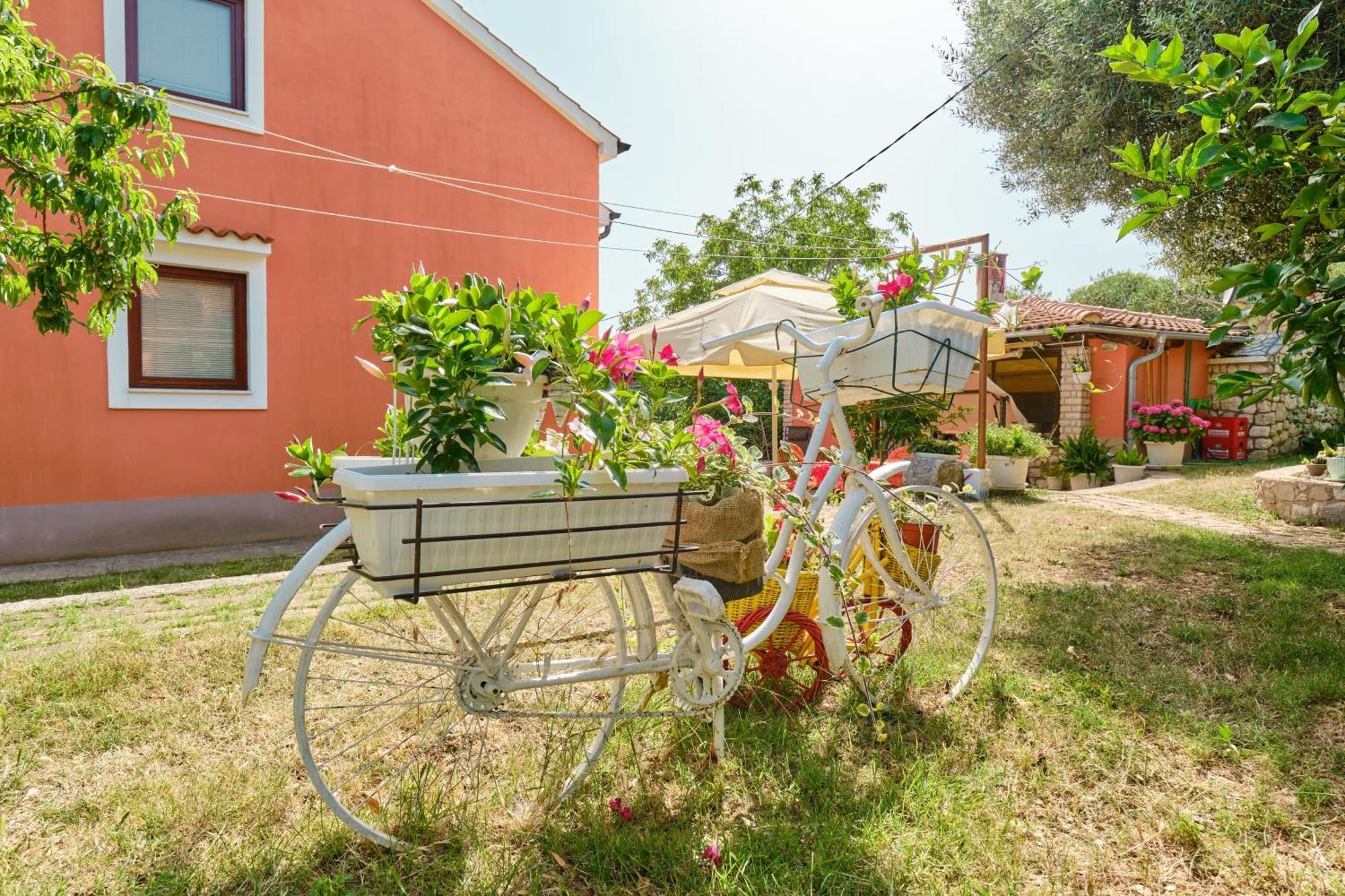 Apartments with a parking space Cunski, Losinj - 7867 Zewnętrze zdjęcie